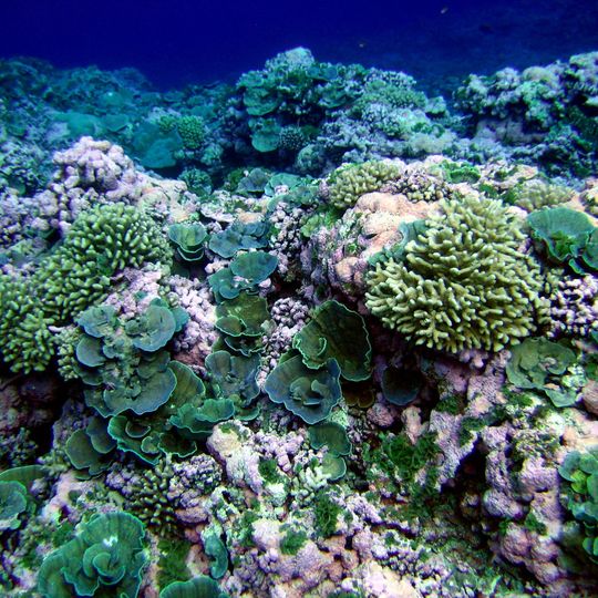 National Marine Sanctuary of American Samoa