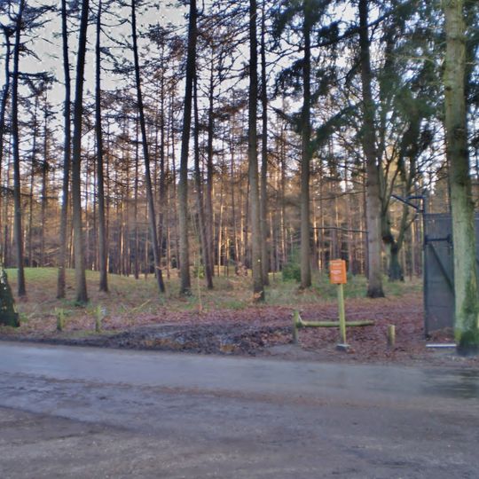 Terrein waarin 6 grafheuvels