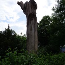 1 Eiche (Luthereiche)