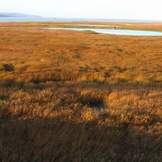 Réserve naturelle nationale de l'estuaire de la Seine