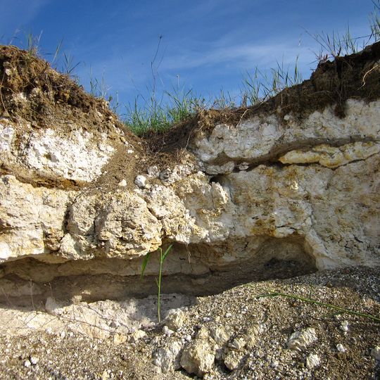 Природне відслонення Новомосковського горизонту із стародавньою фауною