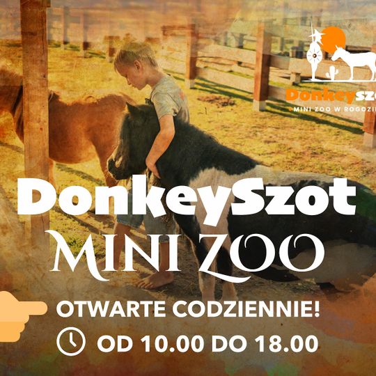 Donkey Szot