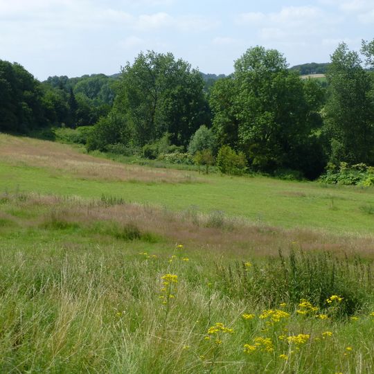 NSG Hasenkamp und Junkersbeck