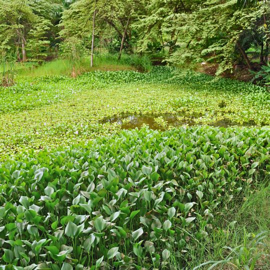 Botanical garden of Portoviejo