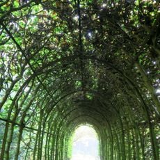 De Wiersse: charmille met kommetje en tuinbank