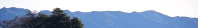 Panoramic View 1