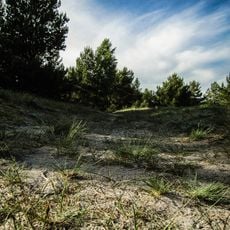The Grey Dune of Pavilosta