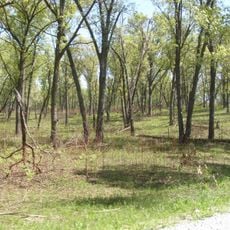 Conrad Savanna Nature Preserve