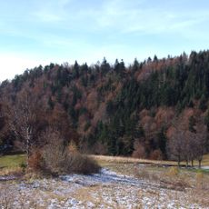 Nature reserve Pusta Wielka