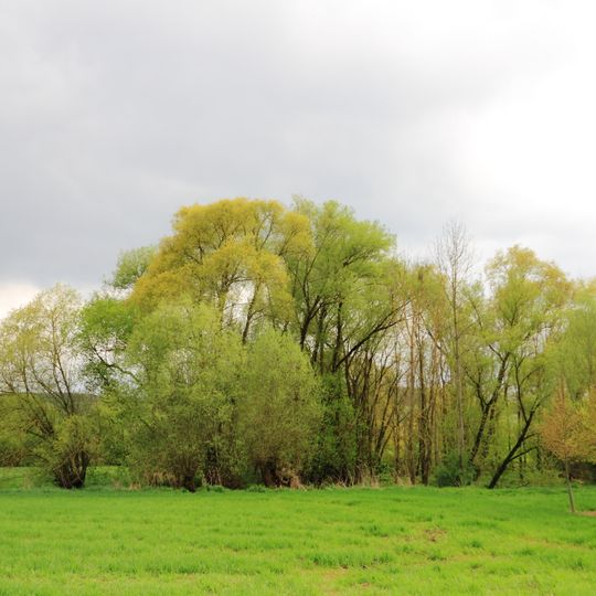 Brutstätte für Eisvögel Stein