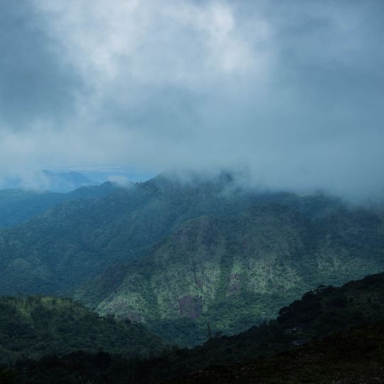 Kalakkad Mundanthurai-Tigerreservat