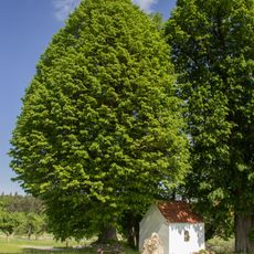 Marienkapelle