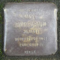 Max Dannenbaum