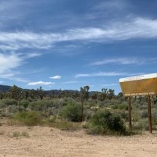 Wee Thump Joshua Tree Wilderness, Nevada