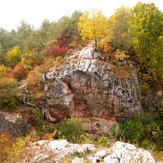 Rezerwat przyrody Góra Zelejowa
