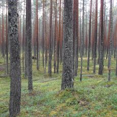 Agusalu Nature Reserve
