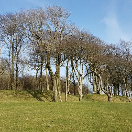 Chanctonbury Ring