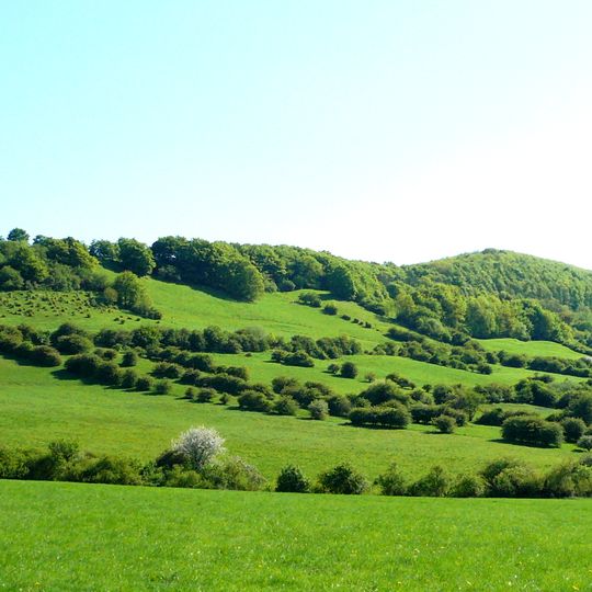 Holzberg, Denkiehäuser Wald, Heukenberg