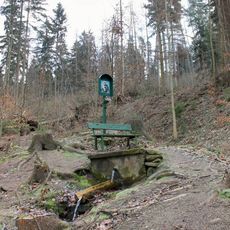 Obrázek u Dolních Studének na okraji lesa