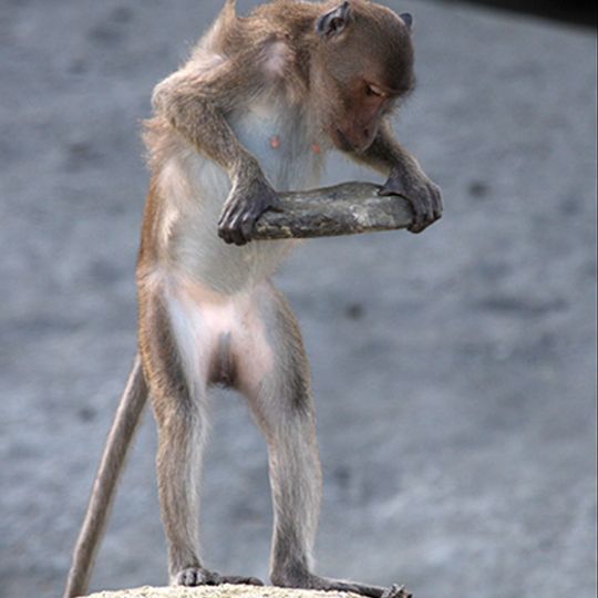 Parc national de Laemson