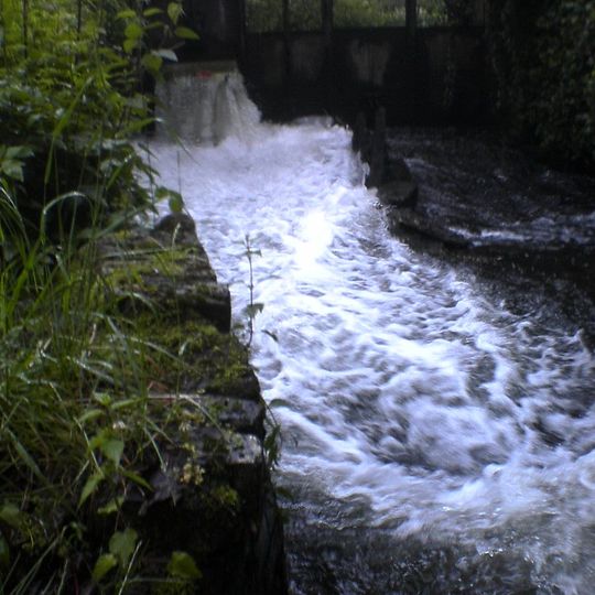 Hertford Castle Weir