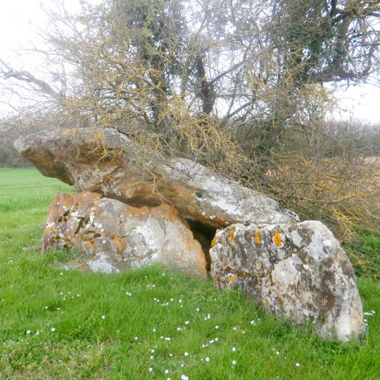 Dolmen Le Chillou du Feuillet