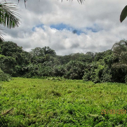 Réserve de faune de Ngoyla