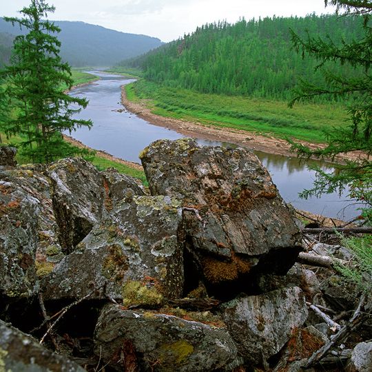 Olyokma Nature Reserve