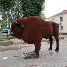 Зубр