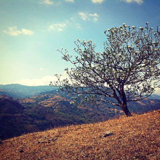 Provincia de Puntarenas