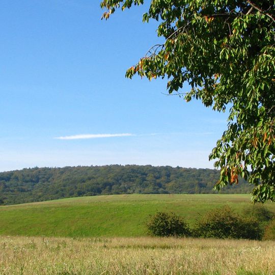 Hohe Schrecke