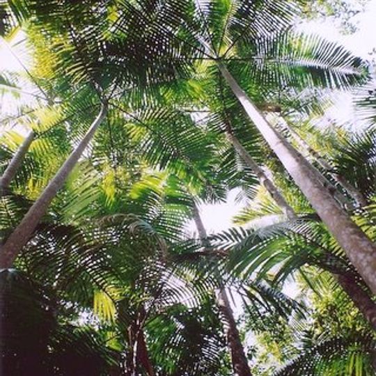 Middle Brother National Park