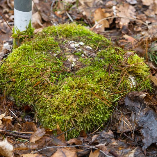 Grenzstein Heilstättenstraße 130 in Zirndorf