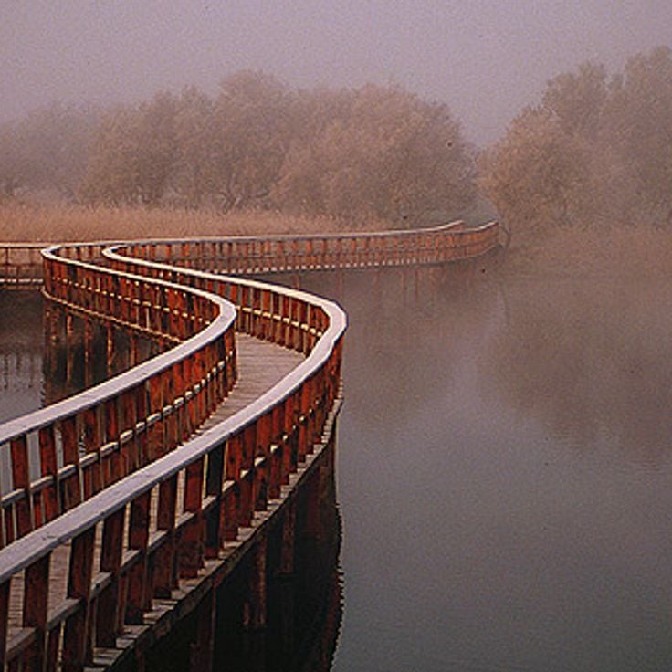 Las Tablas de Daimiel National Park