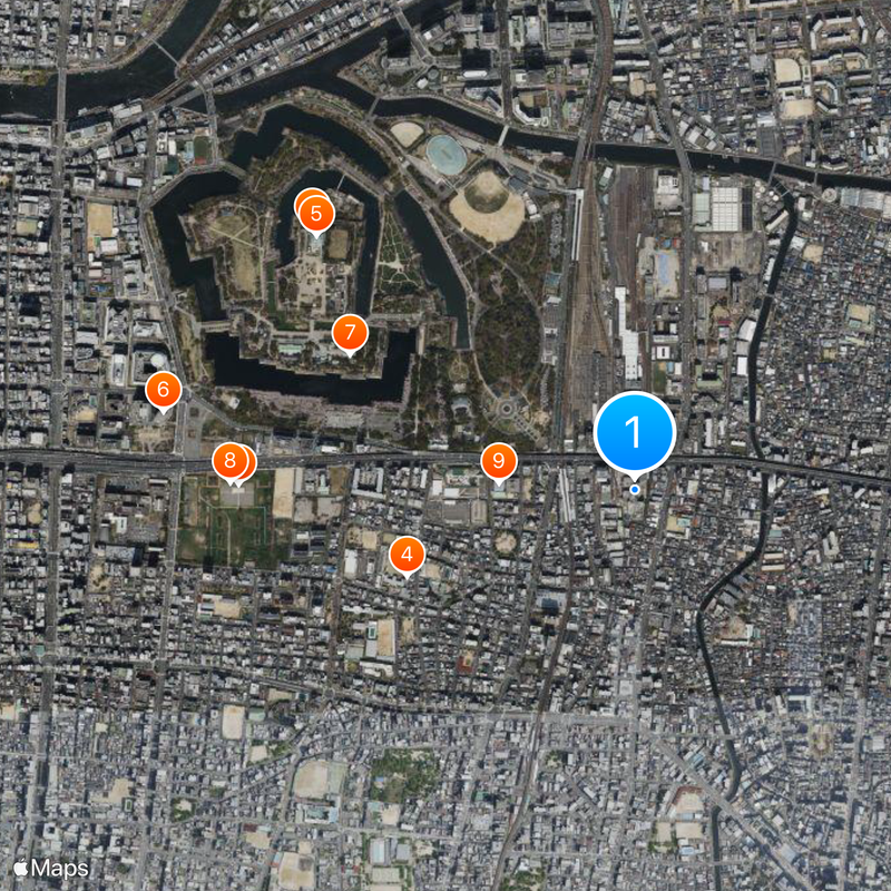 Osaka International Cancer Institute Carte