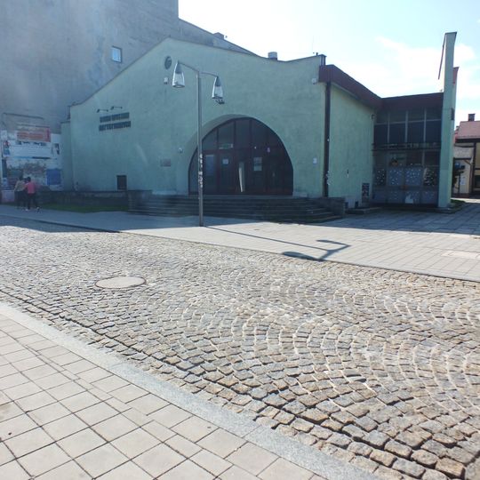 Piwnice i północna część parteru domu, ob. BWA