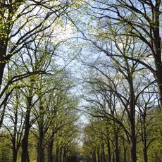 Queen Elisabeth Park, Gödöllő