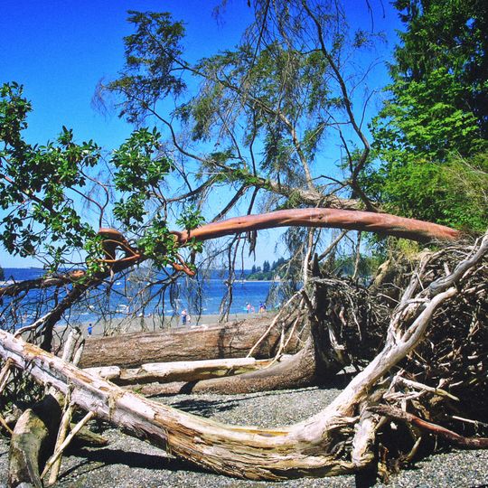 Kopachuck State Park