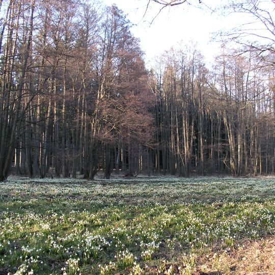 Hroznětínská louka