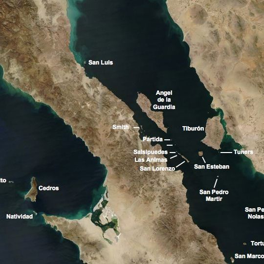 Isla Ángel de la Guarda