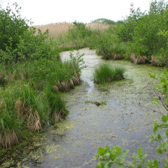 Réserve nationale de faune du lac Saint-François