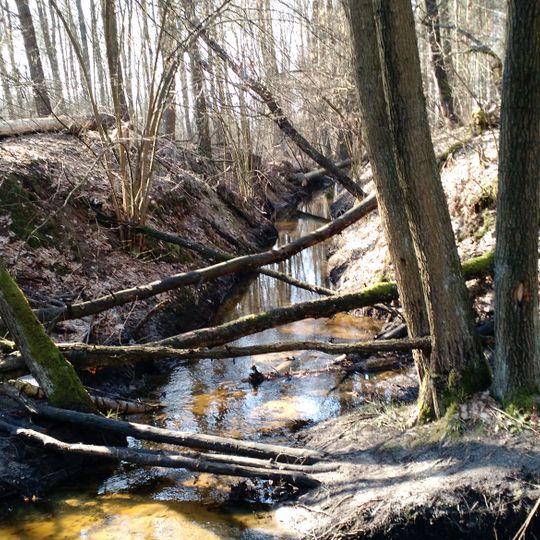 Rezerwat przyrody Gołobórz