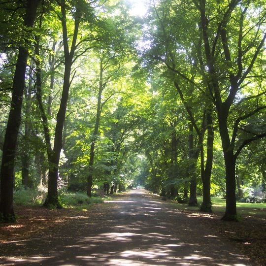 Alexandra Park, Manchester