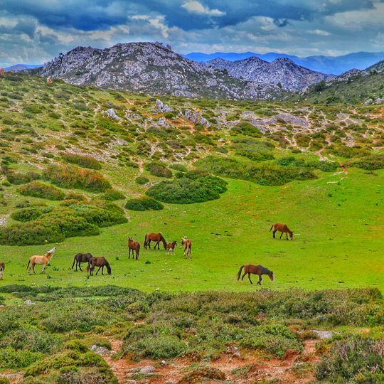 Provincia di Taounate