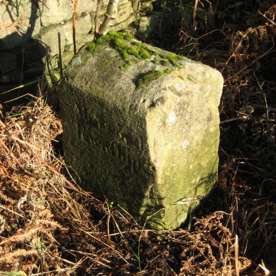 Township Road Marker Stone Opposite Howegill Plantation
