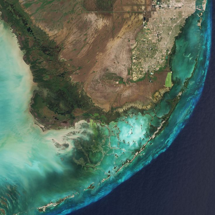 Parco Nazionale delle Everglades