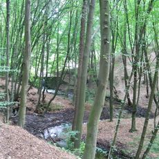 Nature reserve Krępiec