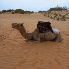 Lompoul desert