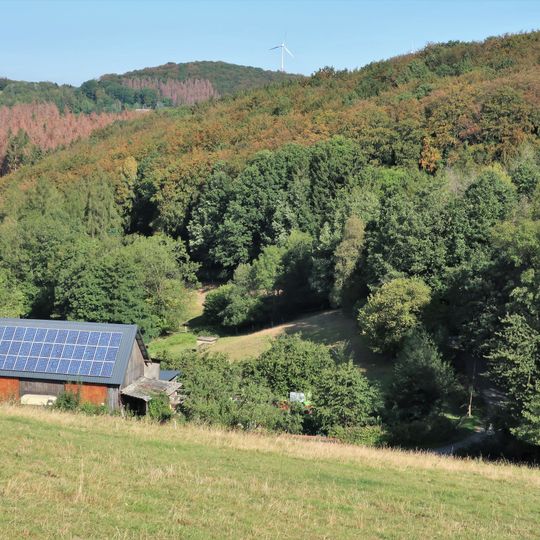 Feuchtwiese Niggenbölling