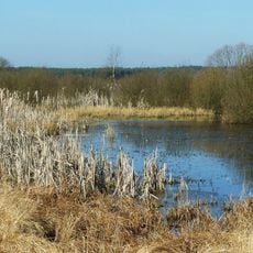 Rzecińskie Lake